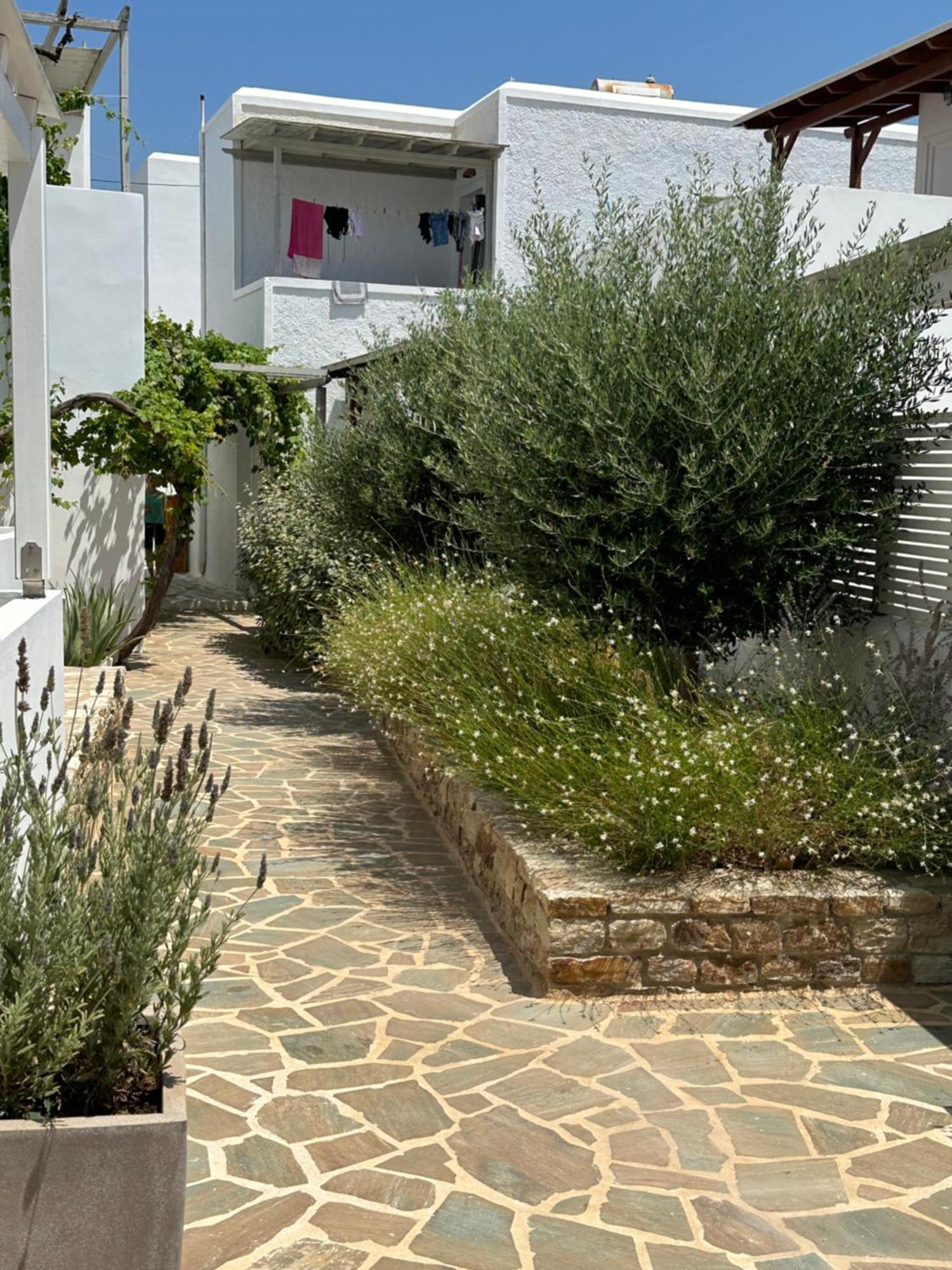 אנדיפרוס Levanda Guest Houses מראה חיצוני תמונה
